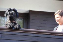 Resize of DSC02198.JPG